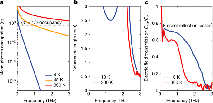 Electric Field Correlation Measurements On The Electromagnetic Vacuum State Nature