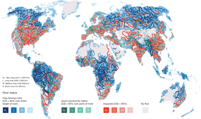 Mapping The World S Free Flowing Rivers Nature Mapping The World S Free Flowing Rivers Nature