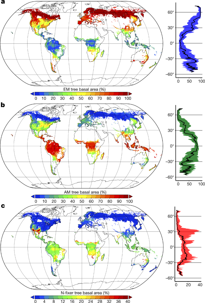 Climatic Controls Of Decomposition Drive The Global Biogeography Of Forest Tree Symbioses Nature