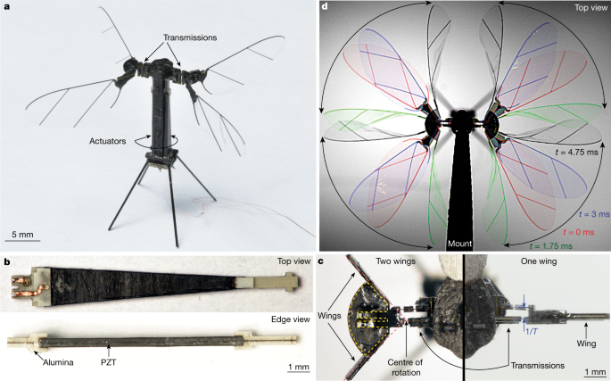 Untethered Flight Of An Insect Sized Flapping Wing Microscale Aerial Vehicle Nature Untethered Flight Of An Insect Sized Flapping Wing Microscale Aerial Vehicle Nature
