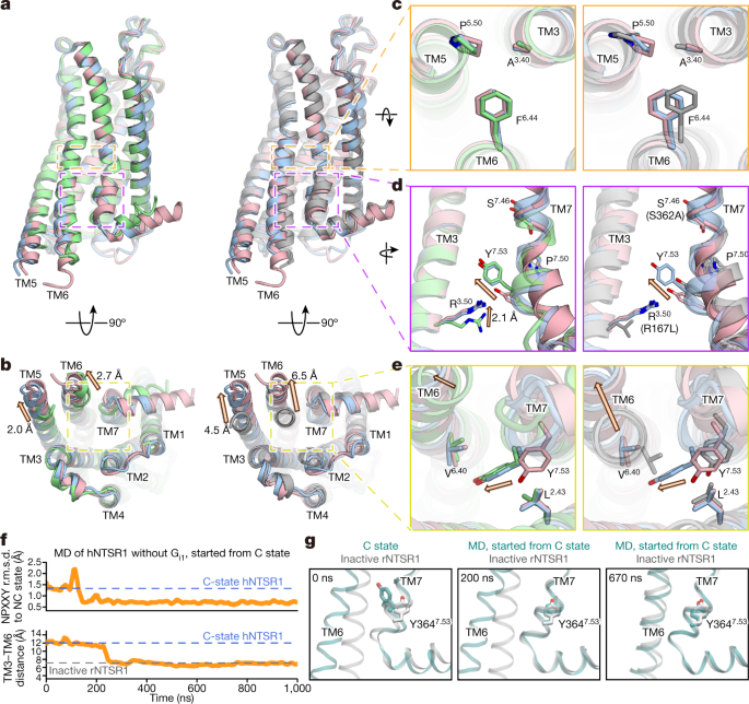 Conformational Transitions Of A Neurotensin Receptor 1 G I1 Complex Nature