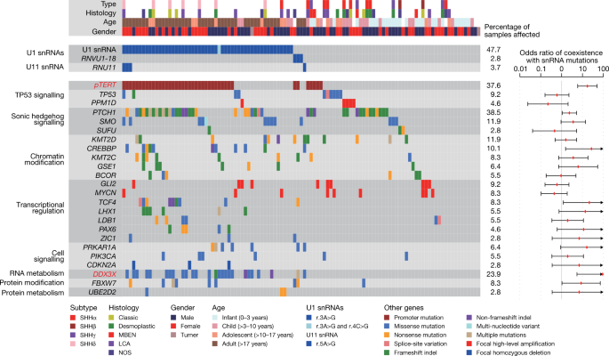 Recurrent Noncoding U1 Snrna Mutations Drive Cryptic Splicing In Shh Medulloblastoma Nature