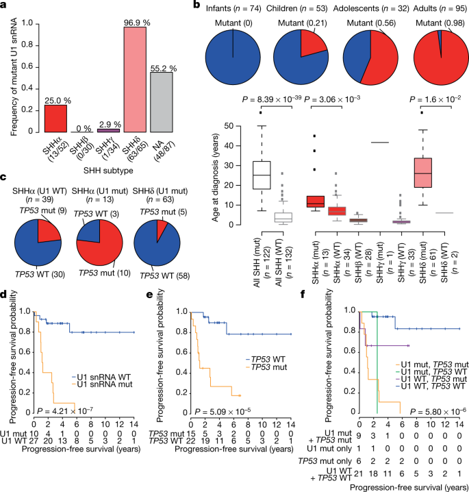Recurrent Noncoding U1 Snrna Mutations Drive Cryptic Splicing In Shh Medulloblastoma Nature