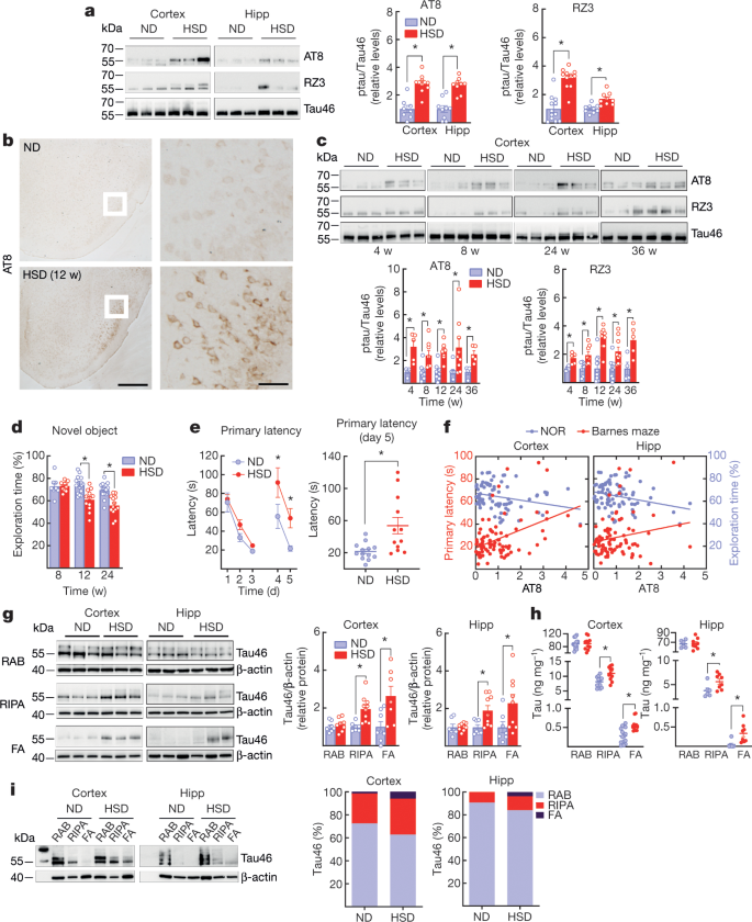 Dietary Salt Promotes Cognitive Impairment Through Tau Phosphorylation Nature