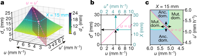 An Evolutionarily Stable Strategy To Colonize Spatially Extended Habitats Nature