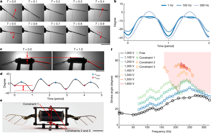 Controlled Flight Of A Microrobot Powered By Soft Artificial Muscles Nature
