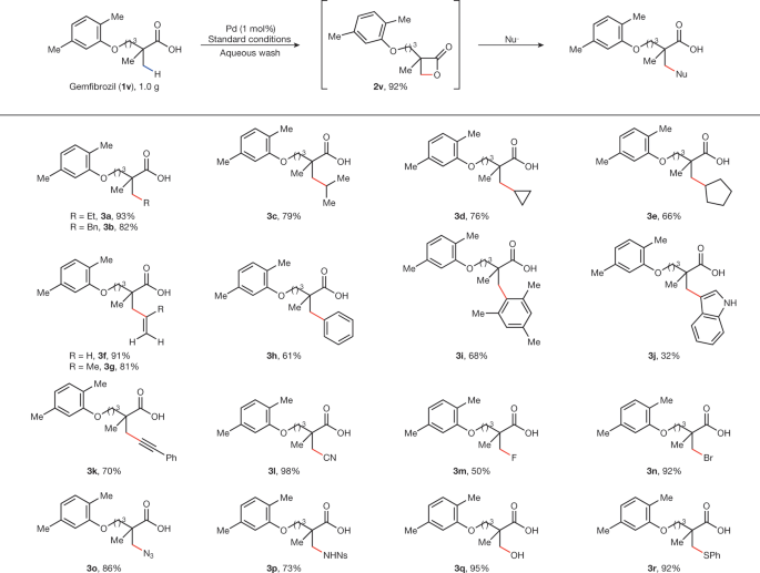 Lactonization As A General Route To B C Sp 3 H Functionalization Nature
