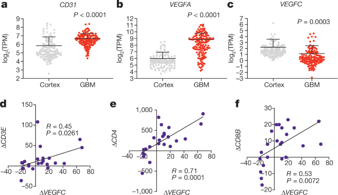 Vegf C Driven Lymphatic Drainage Enables Immunosurveillance Of Brain Tumours Nature