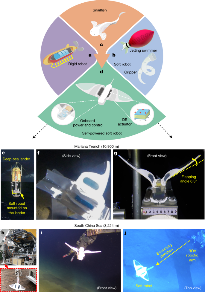 Self-powered soft robot in the Mariana Trench | Nature