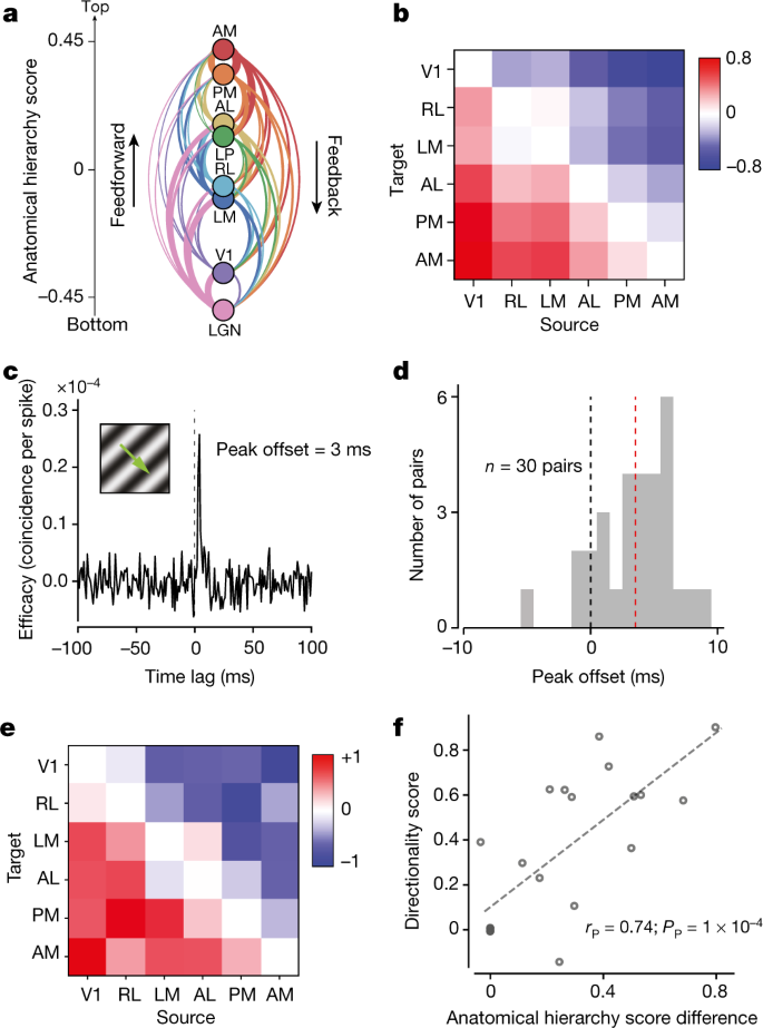 Survey Of Spiking In The Mouse Visual System Reveals Functional Hierarchy Nature
