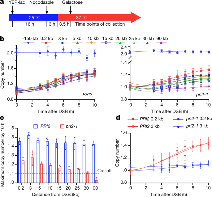 Tracking Break Induced Replication Shows That It Stalls At Roadblocks Nature
