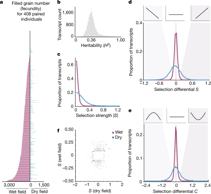 The Strength And Pattern Of Natural Selection On Gene Expression In Rice Nature The Strength And Pattern Of Natural Selection On Gene Expression In Rice Nature