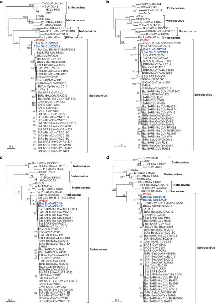 A New Coronavirus Associated With Human Respiratory Disease In China Nature