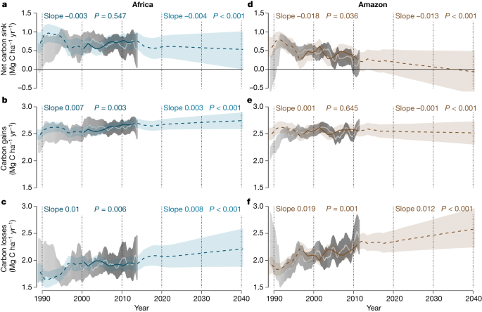 Asynchronous carbon sink saturation in African and Amazonian tropical  forests | Nature