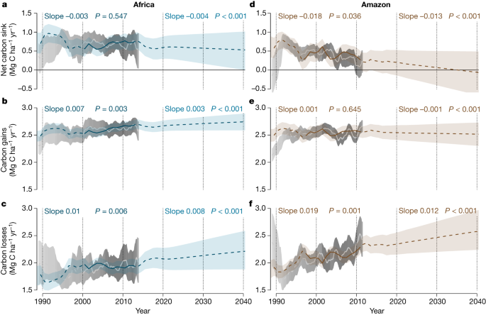 Asynchronous Carbon Sink Saturation In African And Amazonian Tropical Forests Nature