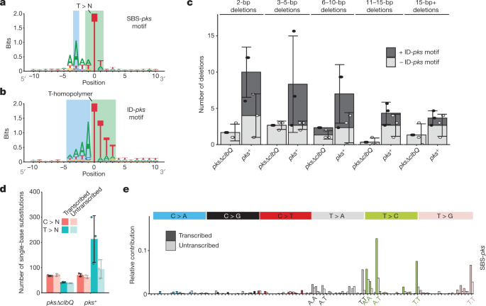 Mutational Signature In Colorectal Cancer Caused By Genotoxic Pks E Coli Nature