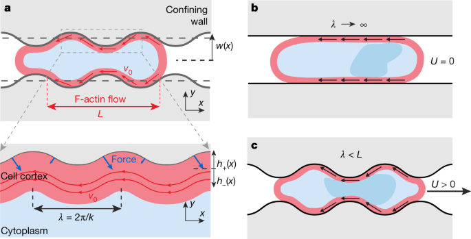 Cellular Locomotion Using Environmental Topography Nature