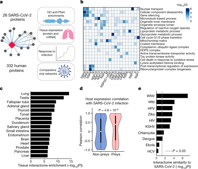 A Sars Cov 2 Protein Interaction Map Reveals Targets For Drug Repurposing Nature