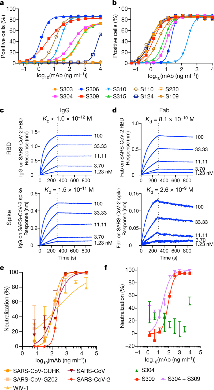 Cross Neutralization Of Sars Cov 2 By A Human Monoclonal Sars Cov Antibody Nature