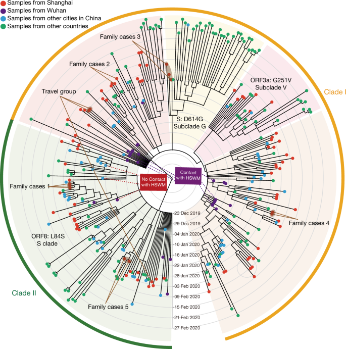 Viral And Host Factors Related To The Clinical Outcome Of Covid 19 Nature