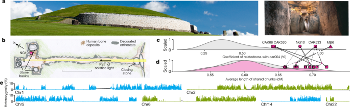 A Dynastic Elite In Monumental Neolithic Society Nature