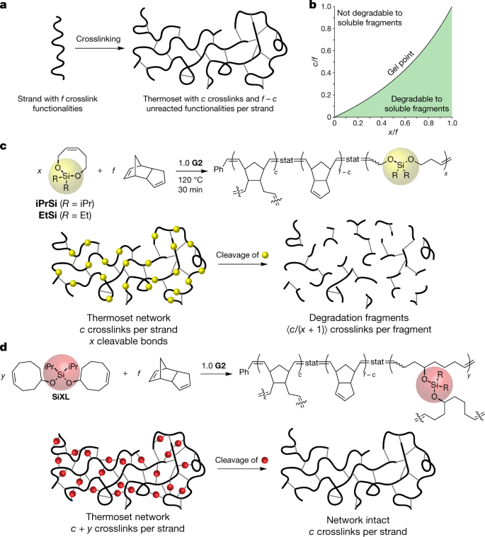 Cleavable Comonomers Enable Degradable Recyclable Thermoset Plastics Nature