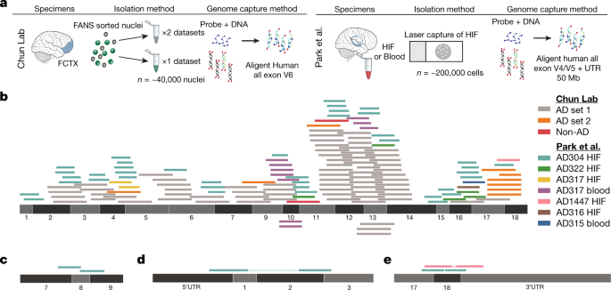 Reply To App Gene Copy Number Changes Reflect Exogenous Contamination Nature