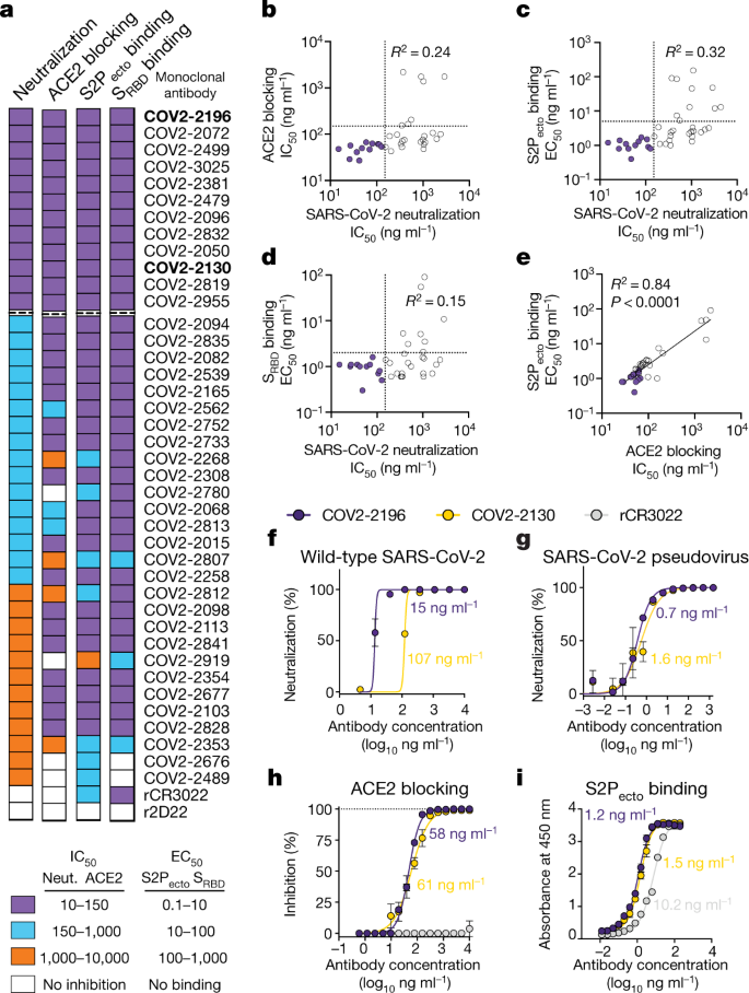 Potently Neutralizing And Protective Human Antibodies Against Sars Cov 2 Nature
