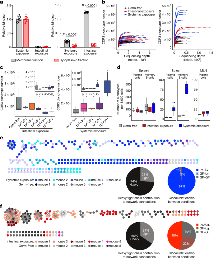 The systemic anti-microbiota IgG repertoire can identify gut