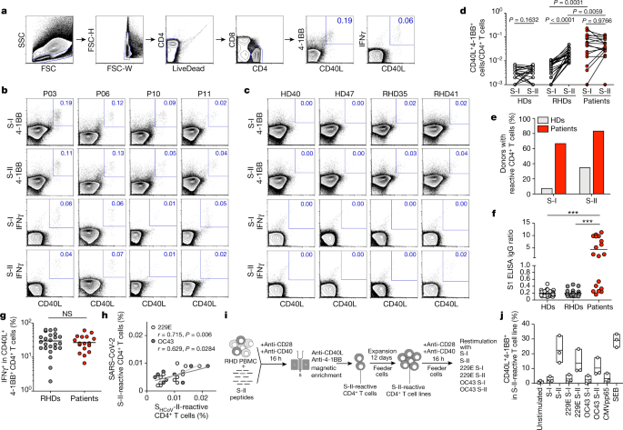 Sars Cov 2 Reactive T Cells In Healthy Donors And Patients With Covid 19 Nature