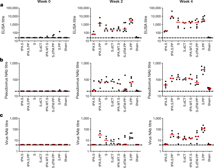 Single Shot Ad26 Vaccine Protects Against Sars Cov 2 In Rhesus Macaques Nature