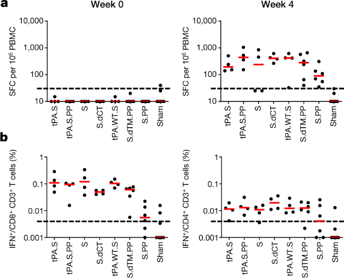 Single Shot Ad26 Vaccine Protects Against Sars Cov 2 In Rhesus Macaques Nature