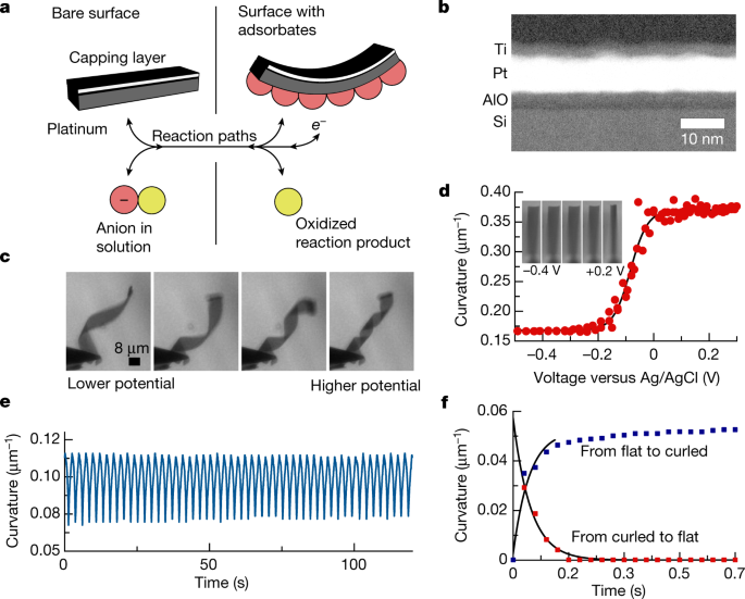 electronically integrated mass manufactured microscopic robots