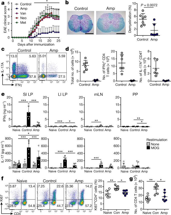 Gut Microorganisms Act Together To Exacerbate Inflammation In Spinal Cords Nature