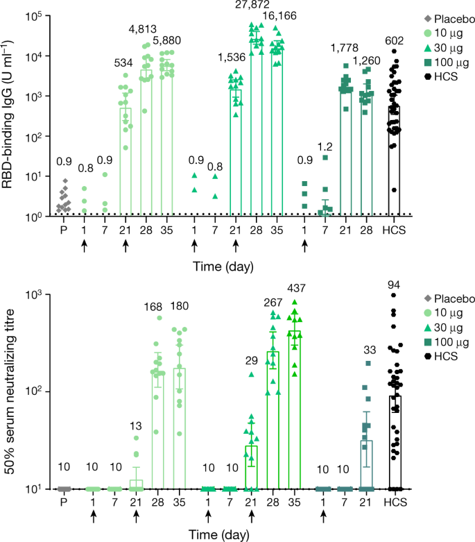 Phase I Ii Study Of Covid 19 Rna Vaccine Bnt162b1 In Adults Nature