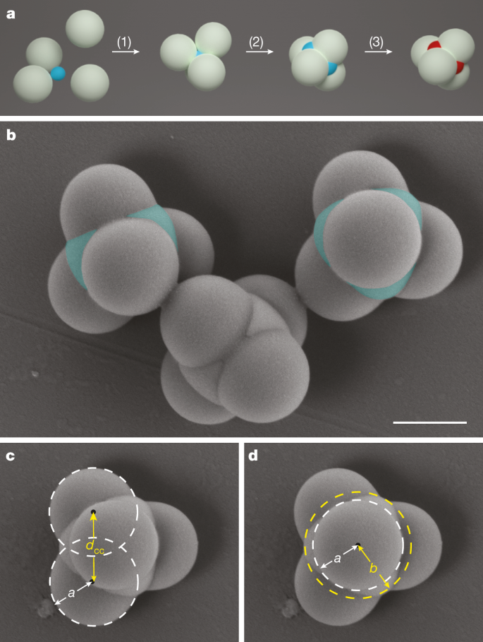 Colloidal Diamond Nature