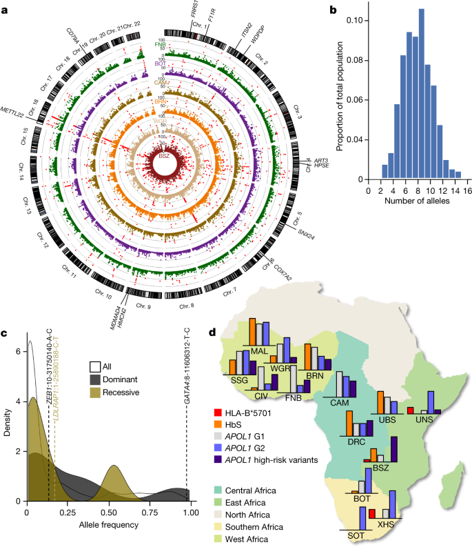 High Depth African Genomes Inform Human Migration And Health Nature Not only did they come out a give us a quote but then came back 10. high depth african genomes inform human