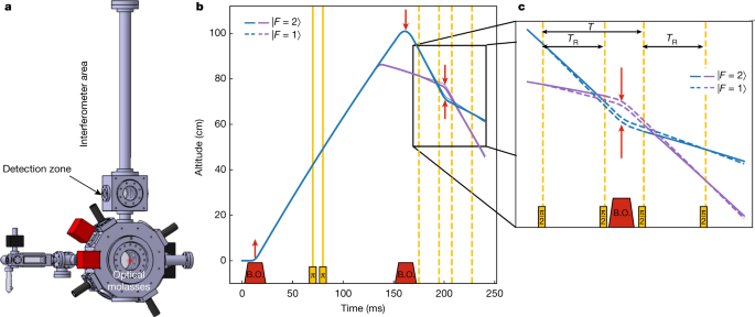 Determination Of The Fine Structure Constant With An Accuracy Of 81 Parts Per Trillion Nature