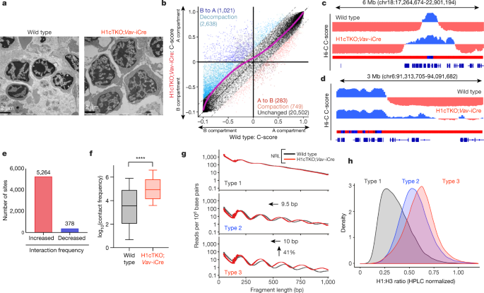 H1 Histones Control The Epigenetic Landscape By Local Chromatin Compaction Nature