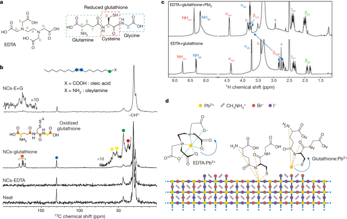 glutathione-s-transferase conjugated p53 Overexpression of Glutathione S-Transferases in Human Diseases: Drug  Targets and Therapeutic Implications
