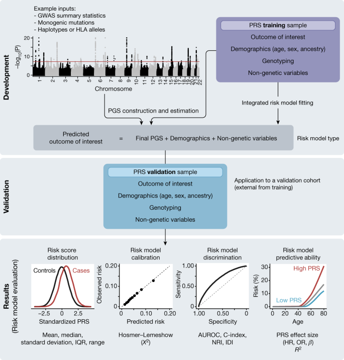 Improving Reporting Standards For Polygenic Scores In Risk Prediction Studies Nature