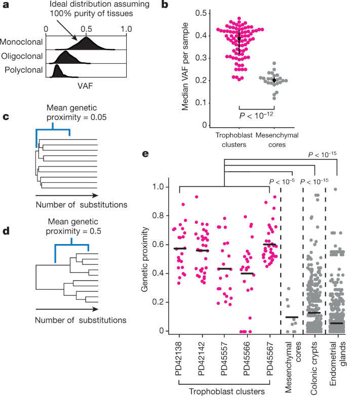 Inherent Mosaicism And Extensive Mutation Of Human Placentas Nature