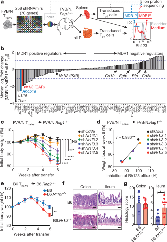 Car Directs T Cell Adaptation To Bile Acids In The Small Intestine Nature