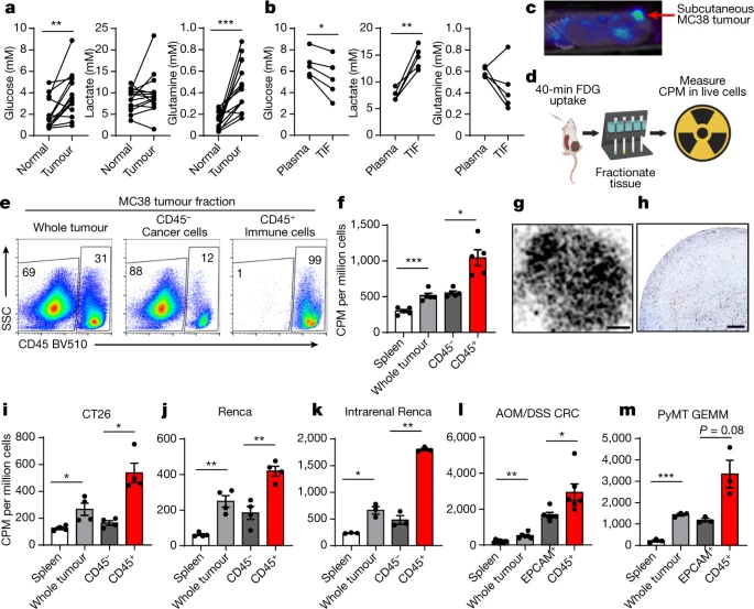 Cell-programmed nutrient partitioning in the tumour microenvironment.