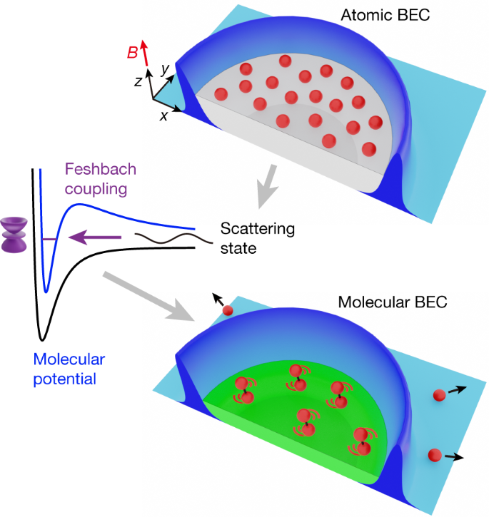Transition from an atomic to a molecular Bose–Einstein condensate | Nature
