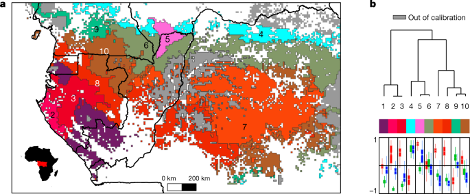 Unveiling African Rainforest Composition And Vulnerability To Global Change Nature