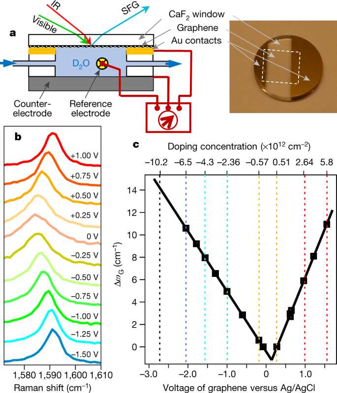 Asymmetric Response Of Interfacial Water To Applied Electric Fields Nature