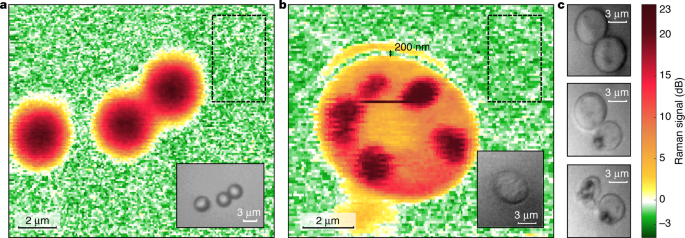 figure4