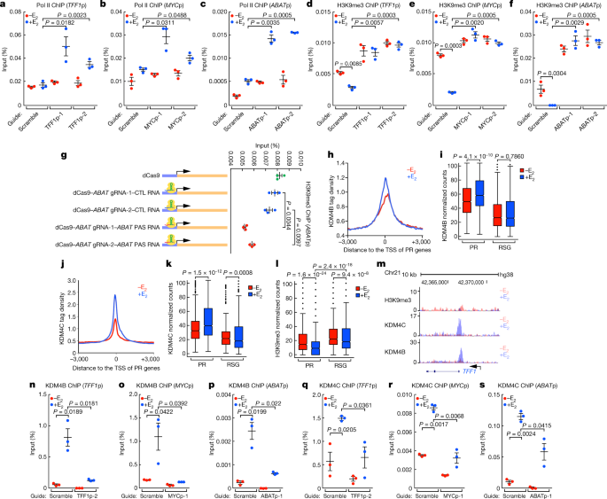 Shape Of Promoter Antisense Rnas Regulates Ligand Induced Transcription Activation Nature