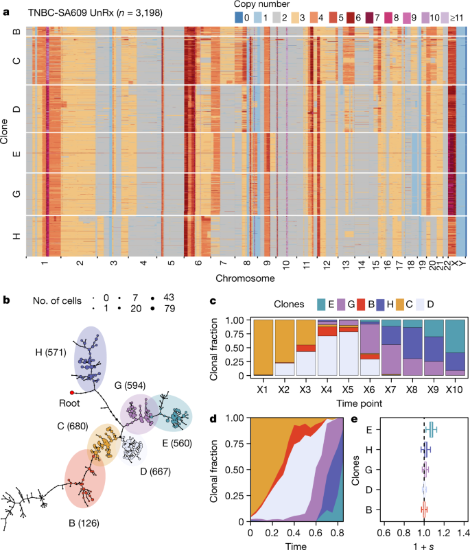 Clonal fitness inferred from time-series modelling of single-cell cancer  genomes | Nature